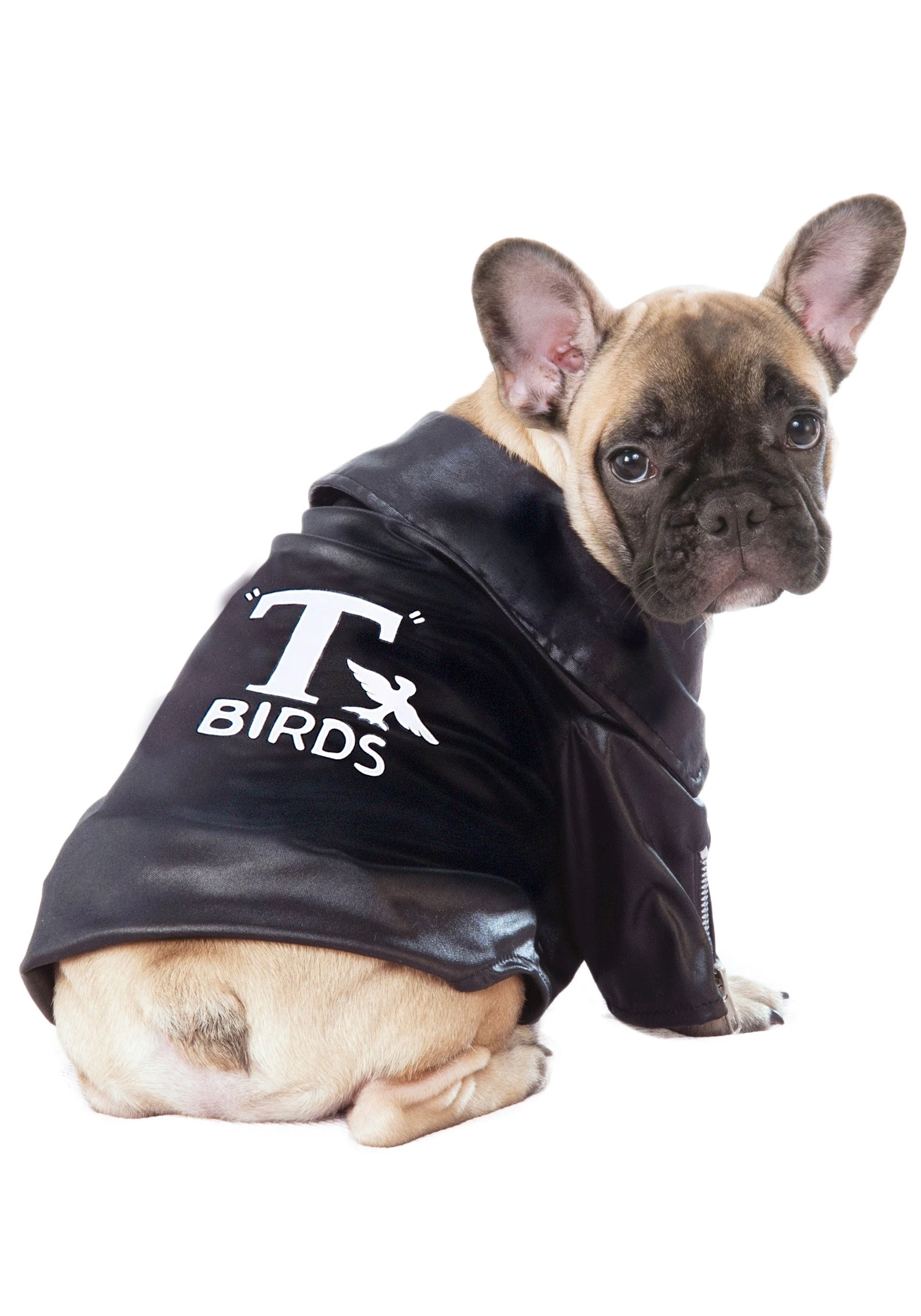 Rubies Costume Co. Inc Grease T-Birds Jacket Pet Costume 3 Rubies Costume Co. Inc Grease T-Birds Jacket Pet Costume